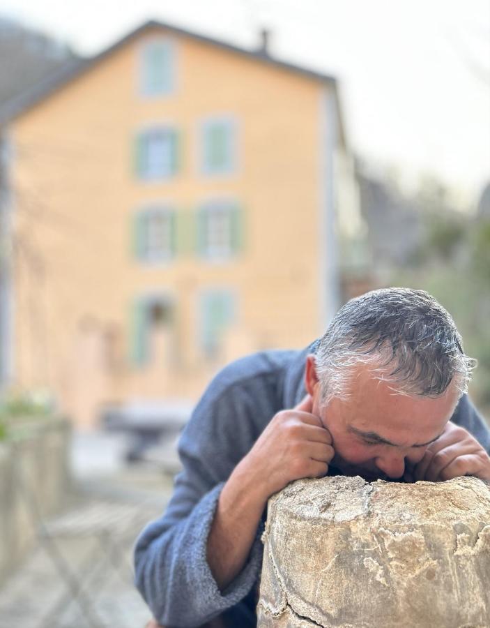 Notre-Dame D'Escouloubre Sources D'Eaux Chaudes Privees Et Sauna エクステリア 写真